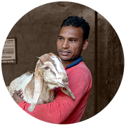 फोकन